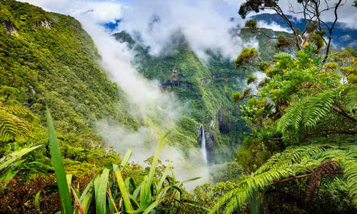 Questions sociales et culturelles dans un territoire d'outre-mer : la Réunion
