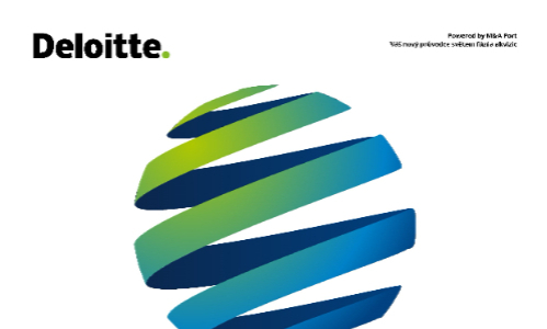 Panelová diskuse při příležitosti spuštění Deloitte M&A portálu