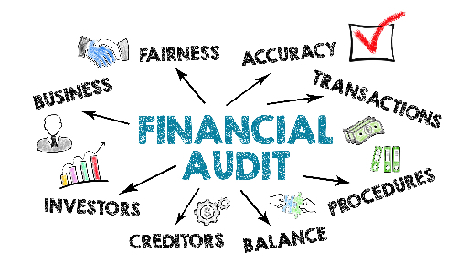 External Financial Auditing