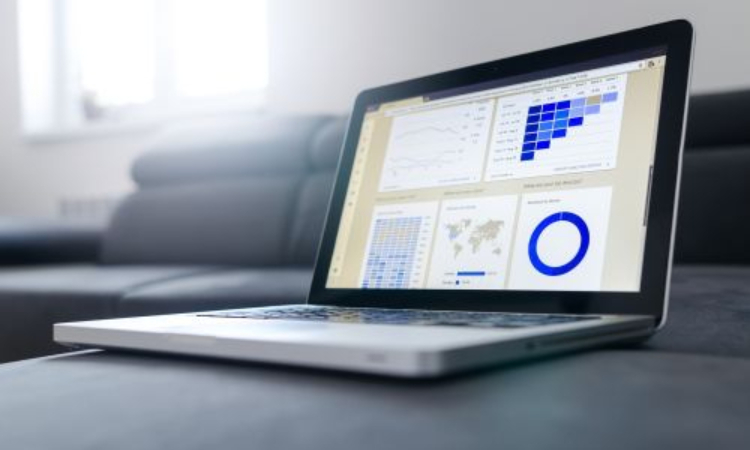 Using R for the analysis of data from sample surveys