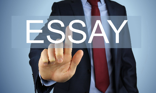 Developing an argument and structuring an essay in English