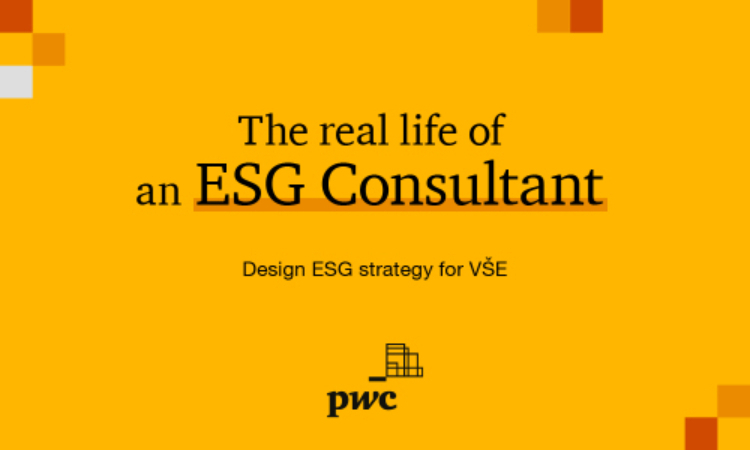 The Real Life of an ESG Consultant - Design ESG Strategy for VSE
