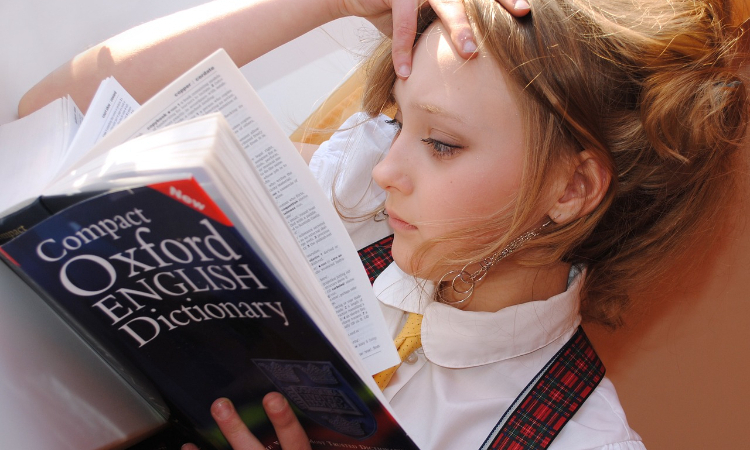 Effective (Language) Learning – techniques and tools